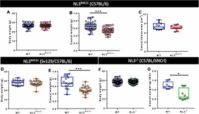 Altered Caecal Neuroimmune Interactions in the Neuroligin-3R451C Mouse Model of Autism
